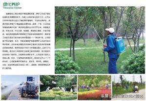 最全的园林景观绿化养护技术手册(园林人必藏)